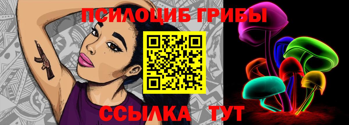 Псилоцибиновые грибы прущие грибы  Вход с VPN  Гай  Псилоцибиновые грибы MAGIC MUSHROOMS 